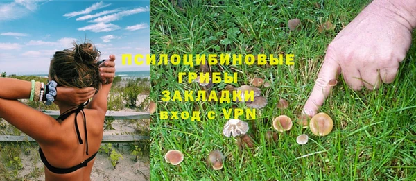 марихуана Богородицк