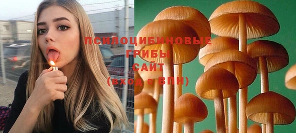 скорость Богданович